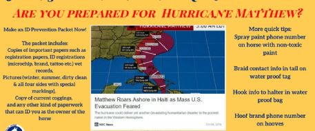 Hurricane Season is Amongst Us.....Prepare now for potential evacuations